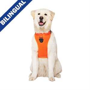 Canada Pooch Harness Orange Mesh