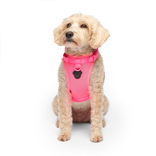 Canada Pooch Harness Neon Pink