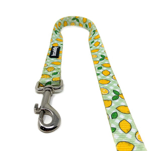 BCUDDLY Dog Leash 6'