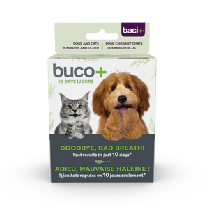 Buco+ Oral Health