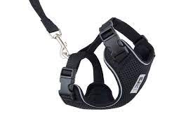 Adventure Kitty Harness Black