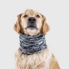 Canada Pooch Snood