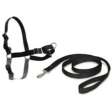 Easy Walk Harness Black