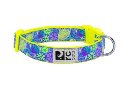 Clip Collar Citrus