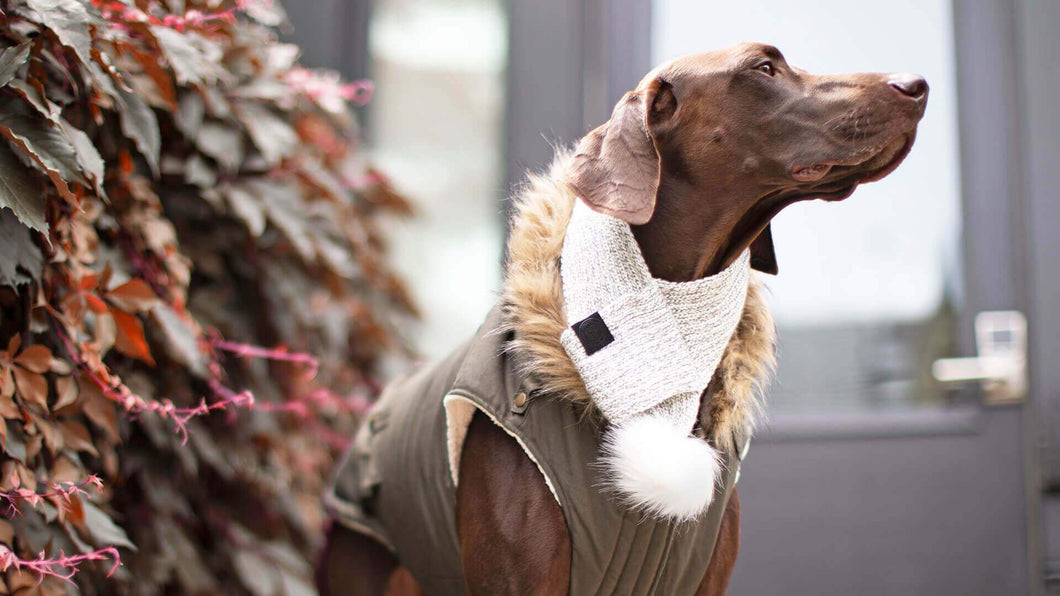 Canada Pooch Pom Pom Scarf