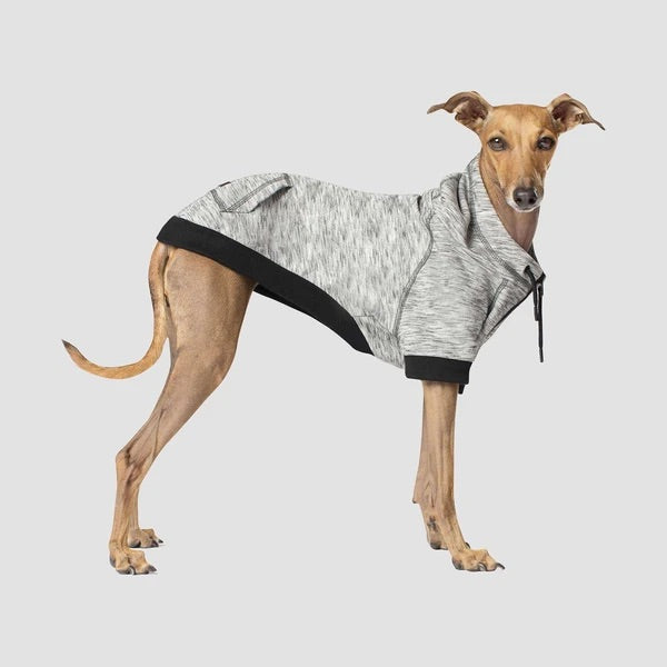 Canada Pooch Hero Hoodie Grey