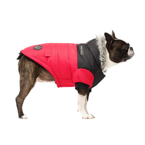 Canada Pooch True North Parka Red