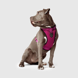 Canada Pooch Harness Pink