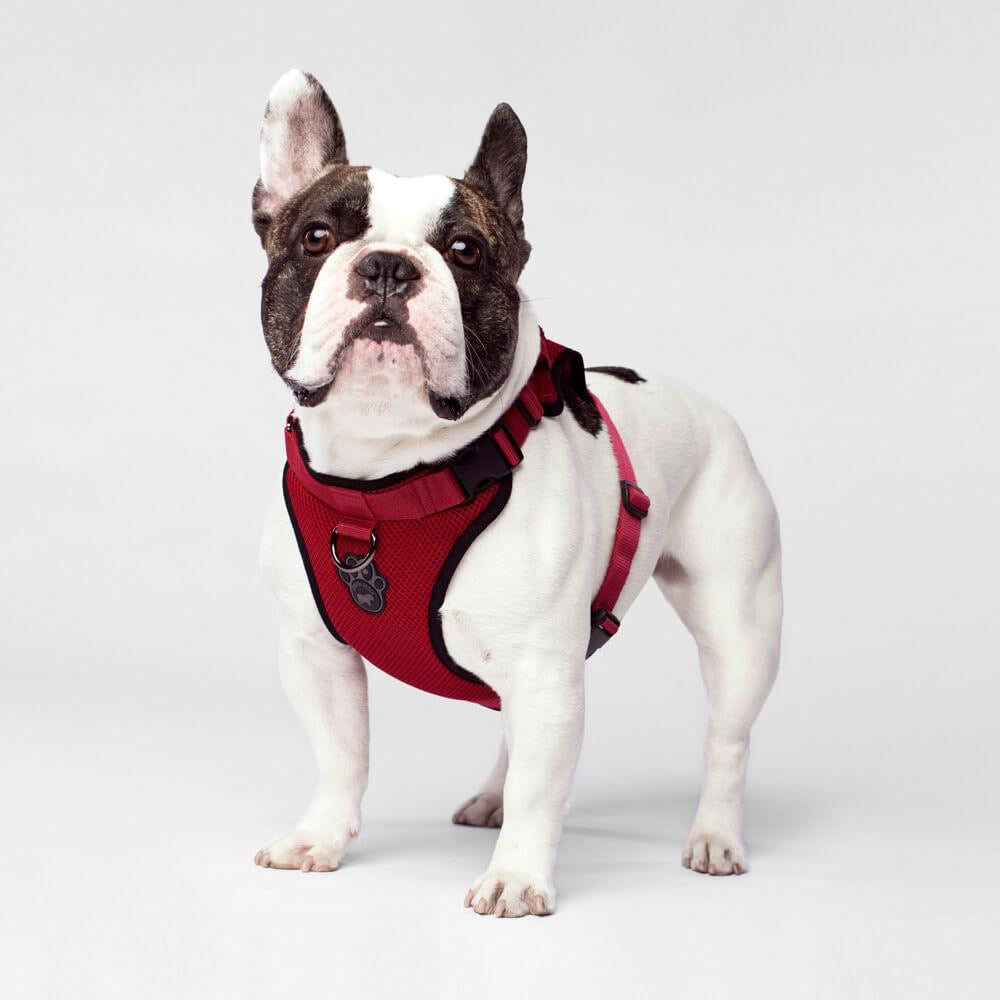 Canada Pooch Harness Red