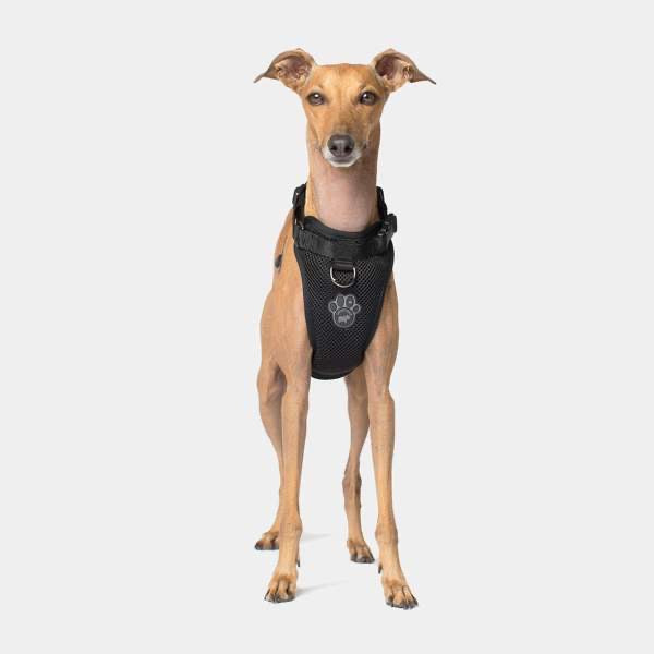 Canada Pooch Harness Black