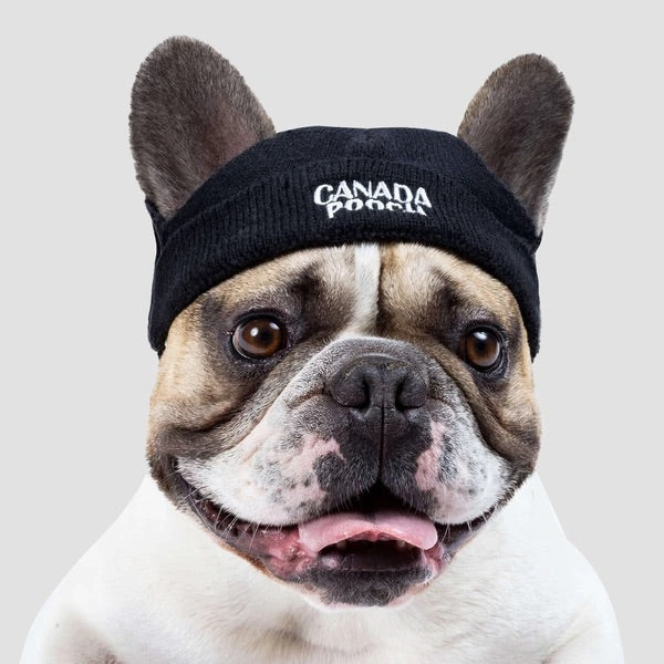 Canada Pooch Beanie Black